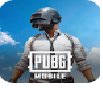 PUBGE MOBILE