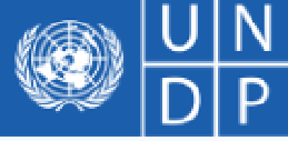 Procurement Associate